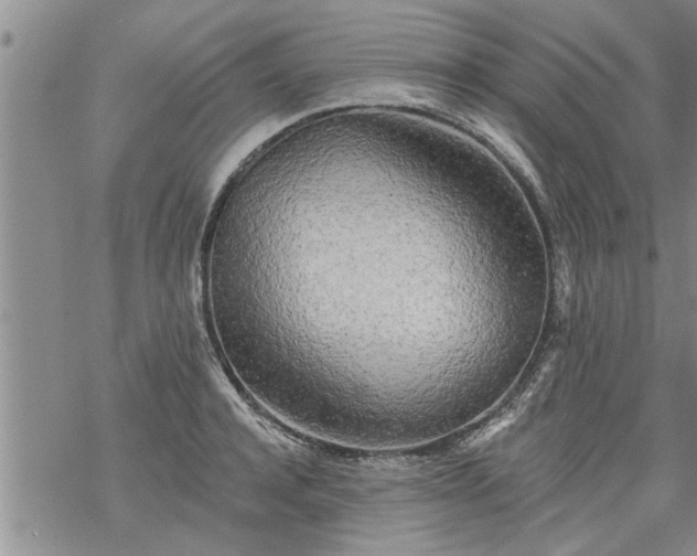 X0000069380944200605192145