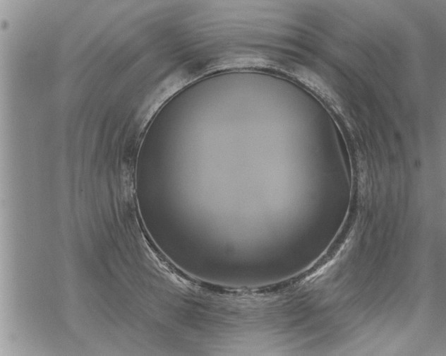 X0000069380945200605192145