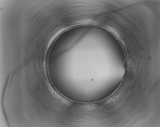 X0000069380947200605192145