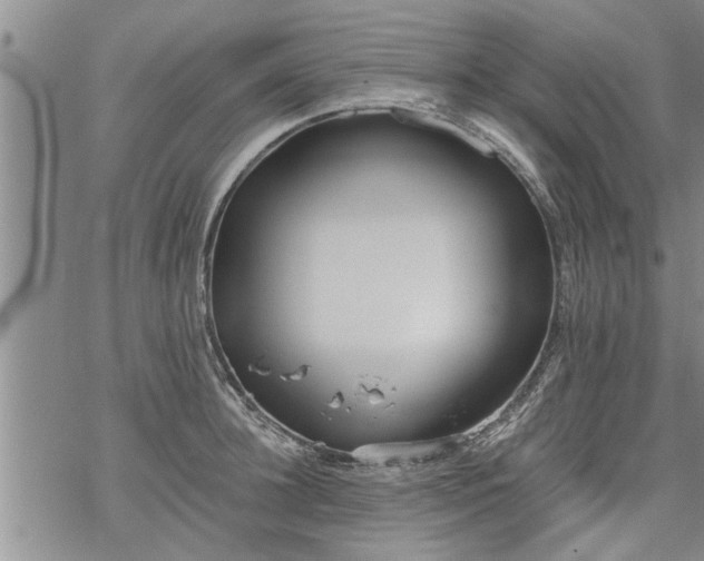 X0000069380948200605192145