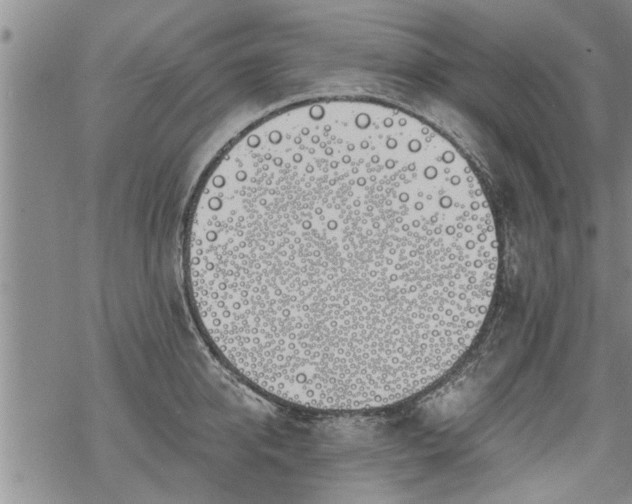 X0000069380950200605192145