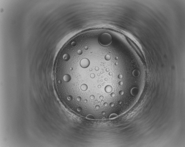 X0000069380951200605192145