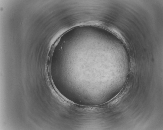 X0000069380952200605192145