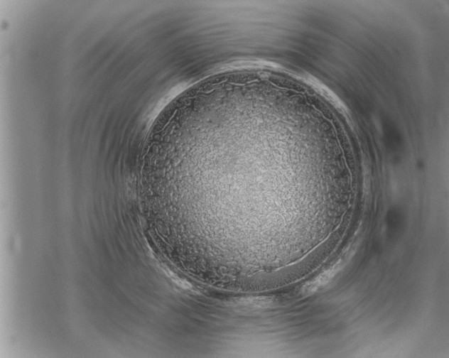 X0000069380953200605192145