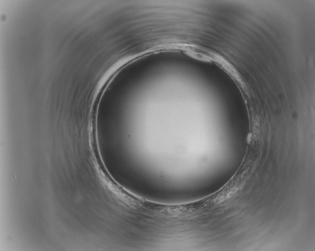 X0000069380955200605192145