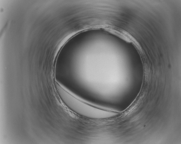 X0000069380956200605192146