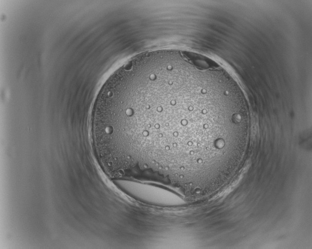 X0000069380957200605192146