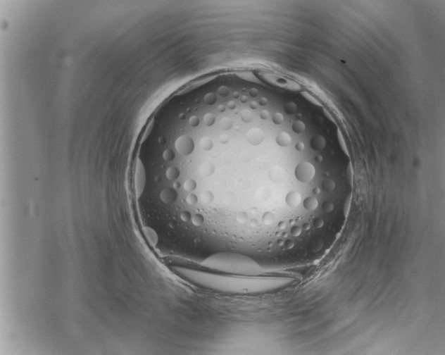 X0000069380959200605192146