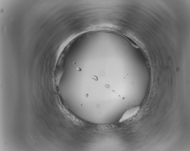 X0000069380960200605192146