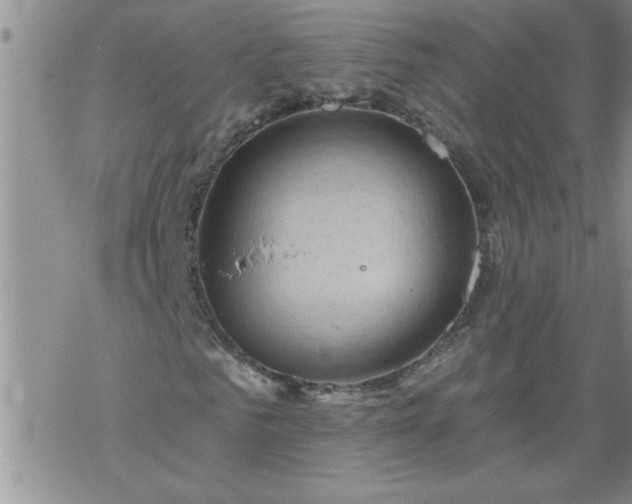 X0000069380961200605192145