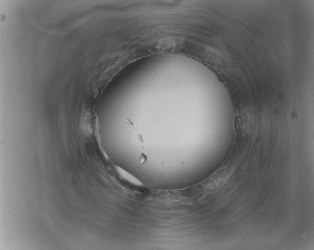 X0000069380962200605192145