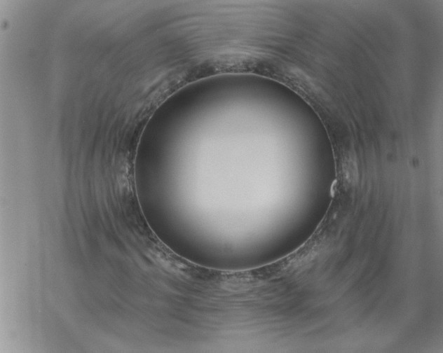 X0000069380964200605192145