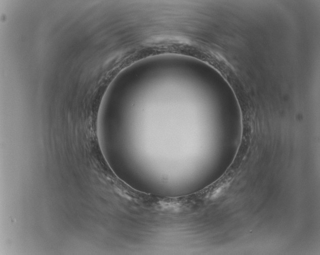 X0000069380965200605192145