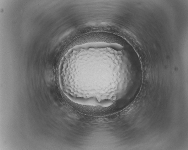 X0000069380966200605192145