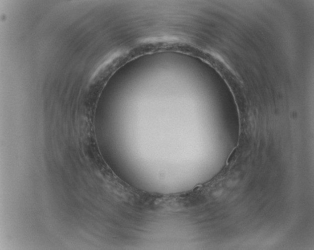 X0000069380967200605192145