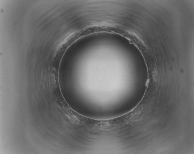 X0000069380968200605192145