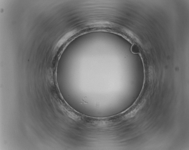 X0000069380970200605192145