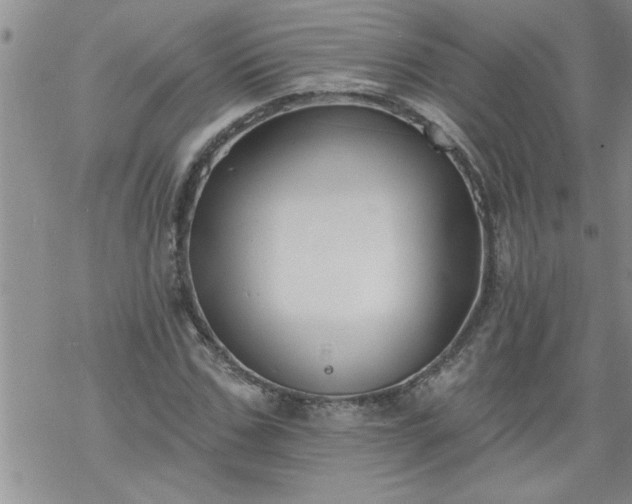 X0000069380971200605192145