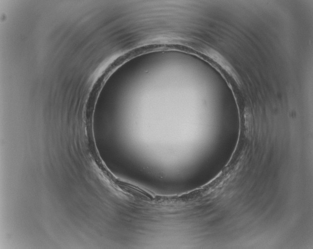 X0000069380972200605192145