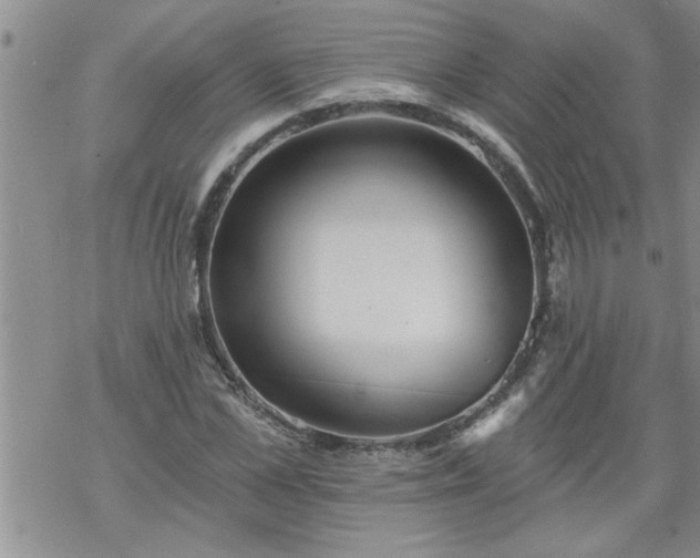 X0000069380973200605192145