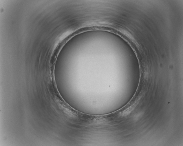 X0000069380974200605192145