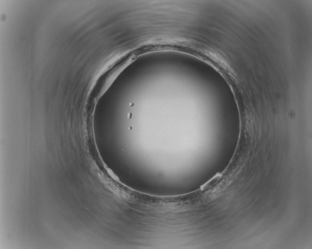 X0000069380976200605192145