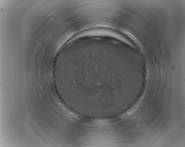 X0000069380977200605192145