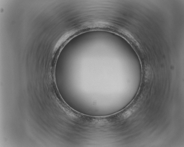 X0000069380978200605192145