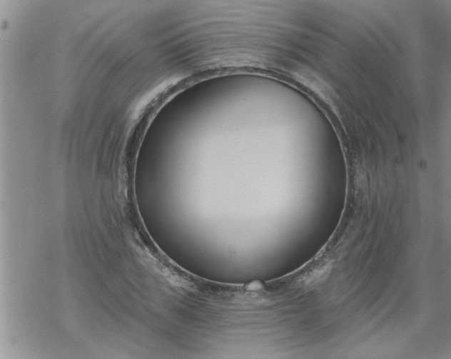 X0000069380979200605192145