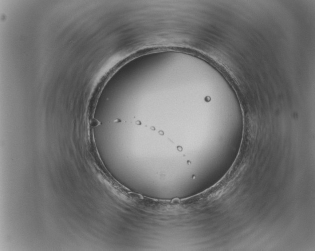 X0000069380982200605192144