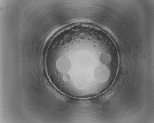 X0000069380983200605192144