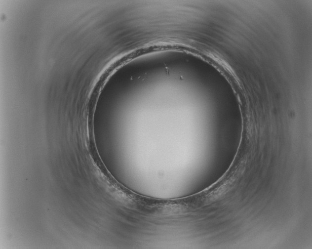 X0000069380984200605192144