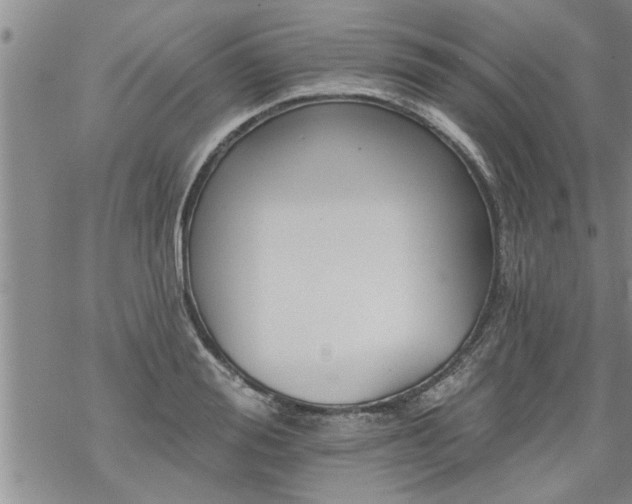 X0000069380988200605192144