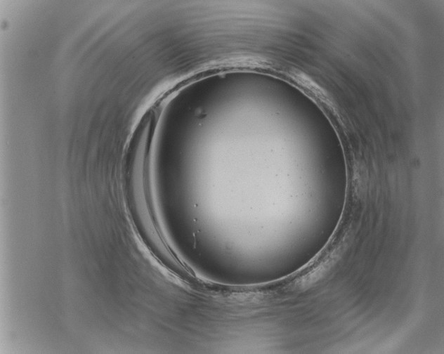 X0000069380989200605192144