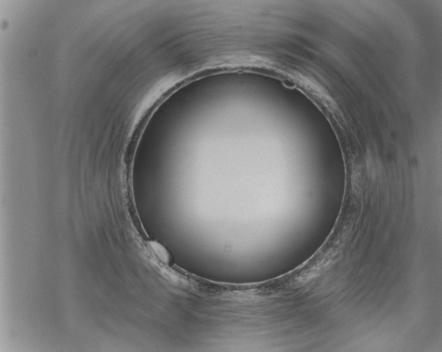 X0000069380990200605192144