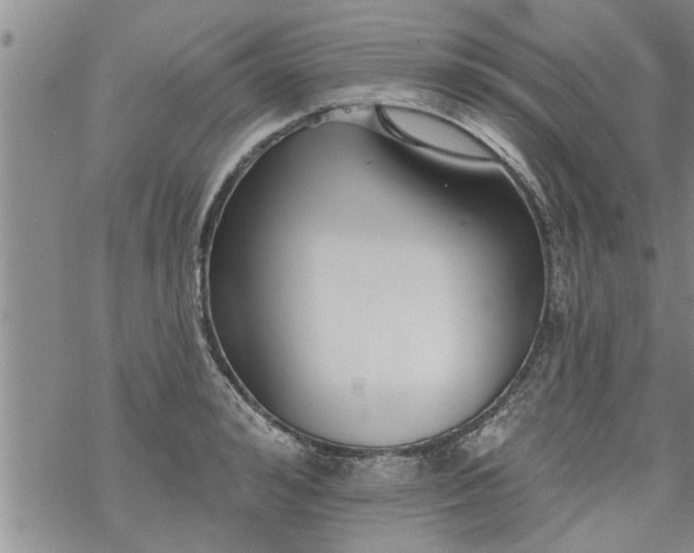 X0000069380992200605192144