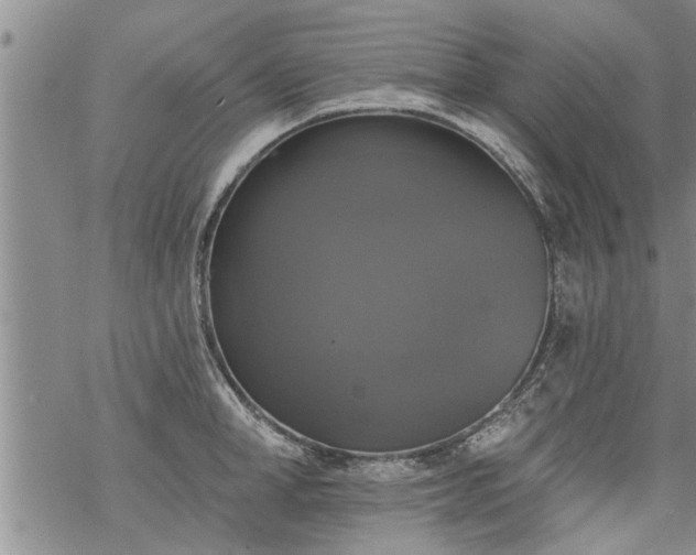 X0000069380998200605192144