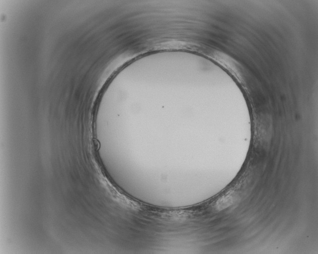 X0000069381000200605192144