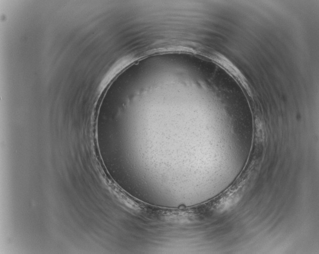 X0000069381002200605192144