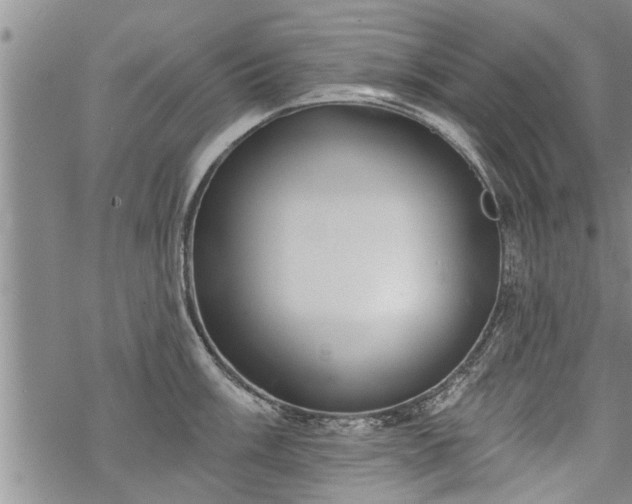 X0000069381003200605192144