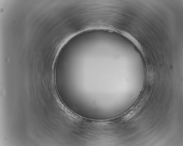 X0000069381004200605192144