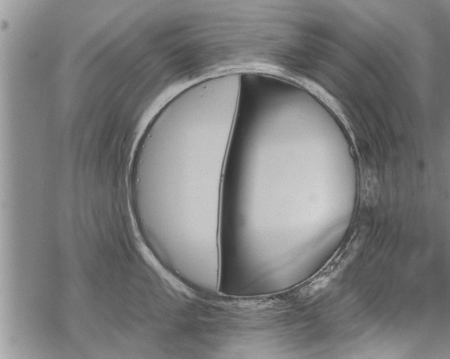 X0000069381005200605192144