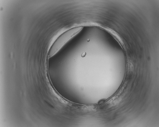 X0000069381006200605192144