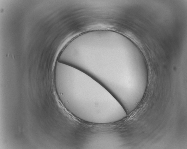 X0000069381008200605192144