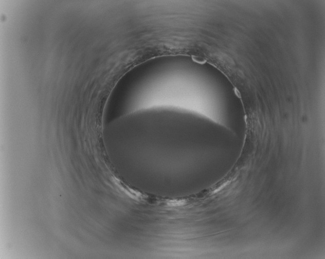 X0000069381009200605192143