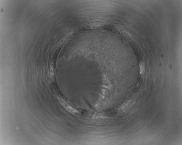 X0000069381011200605192143