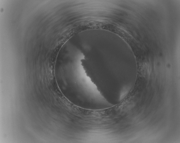 X0000069381013200605192143