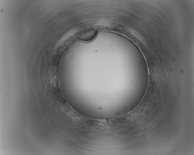 X0000069381015200605192143