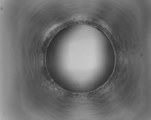 X0000069381016200605192143