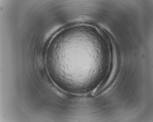 X0000069381018200605192143